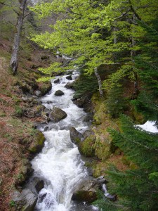 Luchon Pâques 2015 232