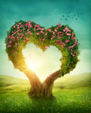 arbre coeur