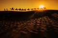 caravane desert