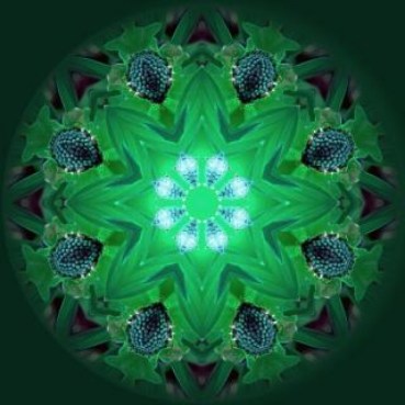 mandala-background--light_19-131109