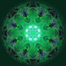 mandala-background--light_19-131109