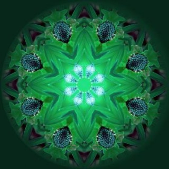 mandala-background--light_19-131109