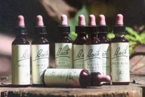 flacons-fleurs-de-Bach