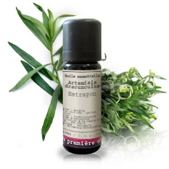 HE estragon et plante